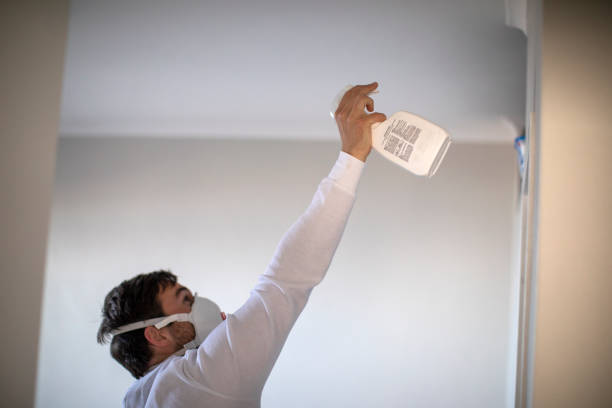 Best Attic Mold Removal  in Somerton, AZ